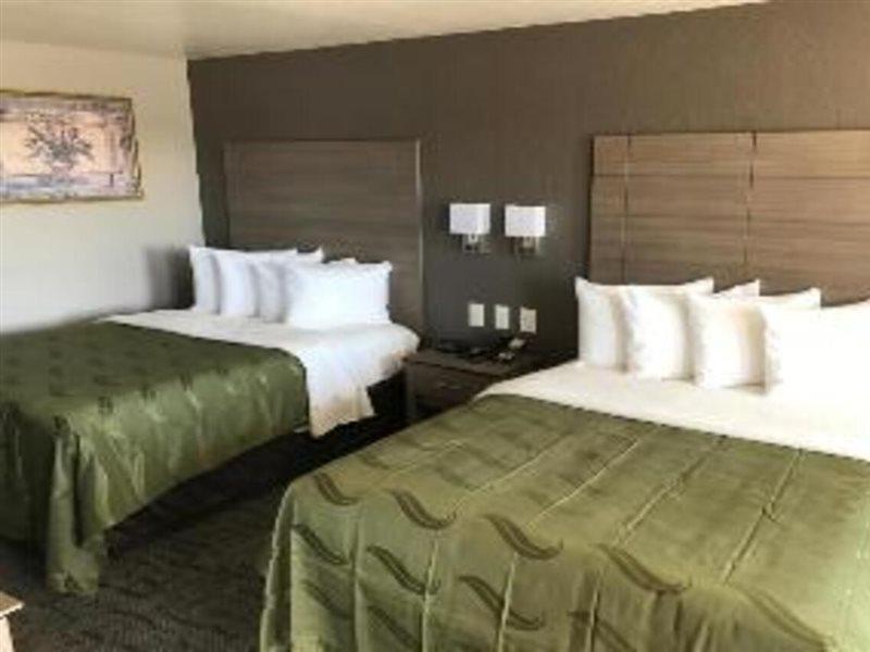 Quality Inn I-10 East Near Frost Bank Center San Antonio Buitenkant foto